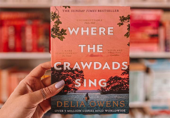 Where the Crawdads Sing (E-book)